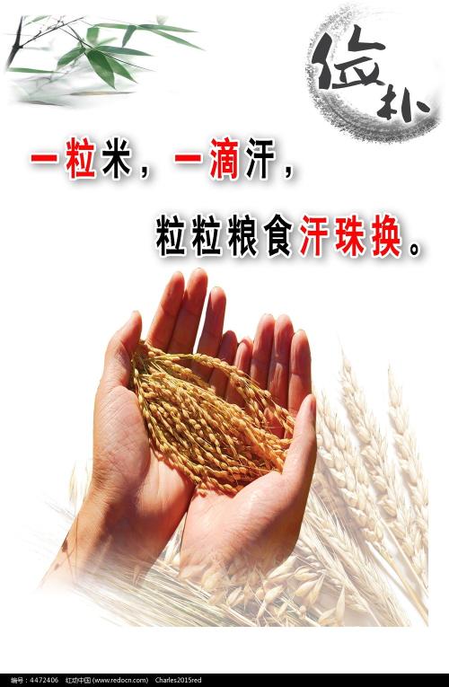 怎么做假假爱尔兰护照电子版